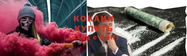 мдпв Лагань