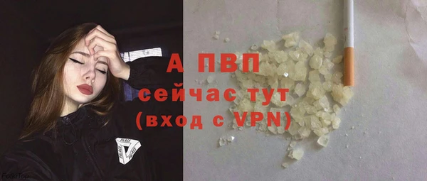 бошки Новодвинск