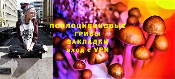 крисы Кукмор